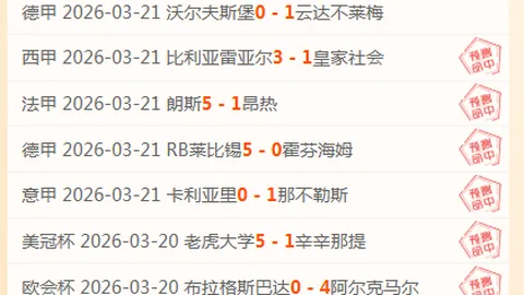 盧卡庫宣告退出比國隊
